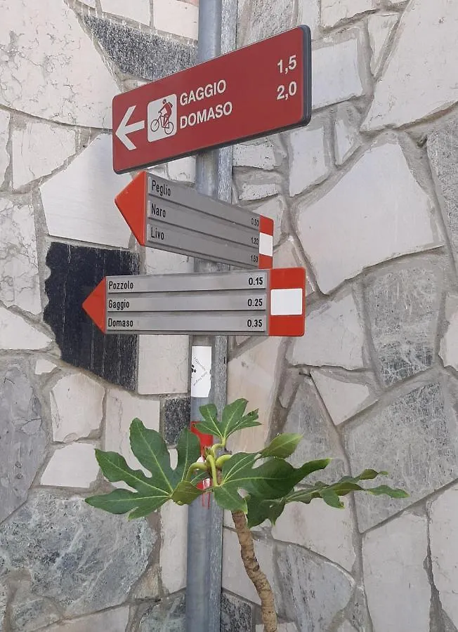 Casina Clelia Apartment Gravedona